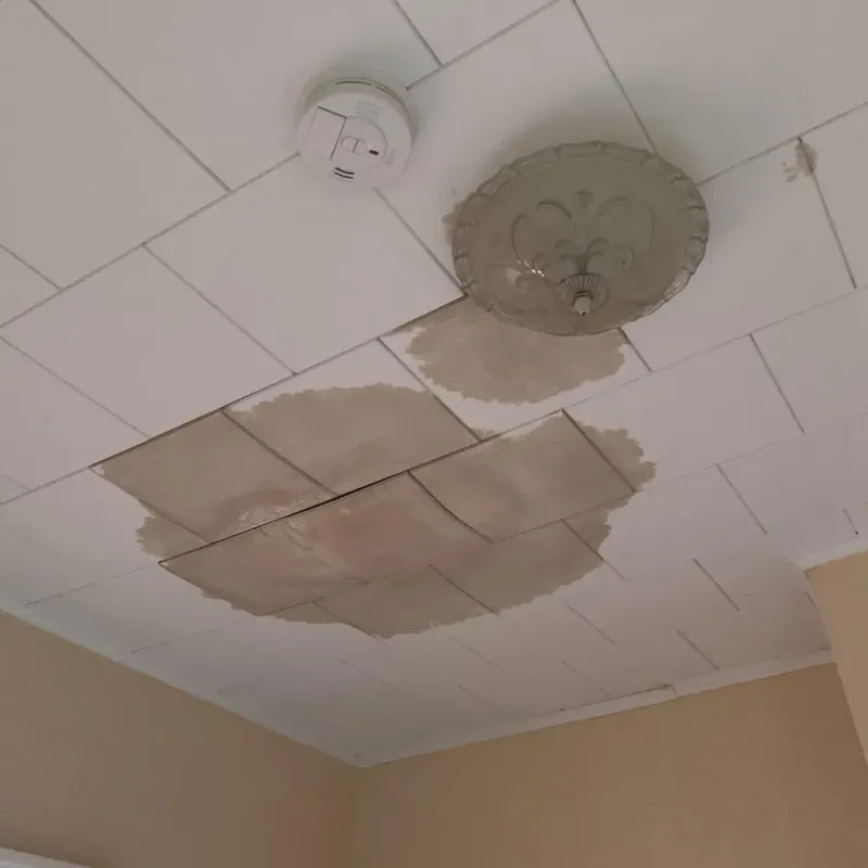 Ceiling Water Damage Repair in Southbury, CT