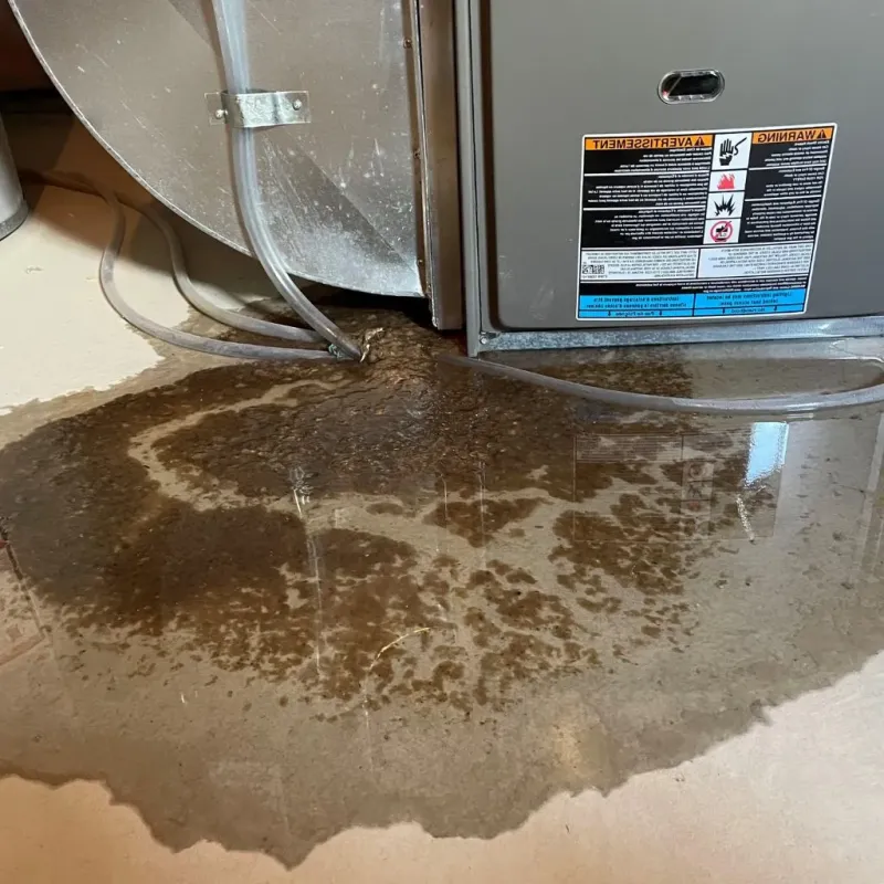 Pipe Burst and Leak Restoration in Southbury, CT